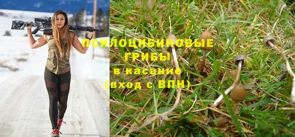 хмурый Нягань