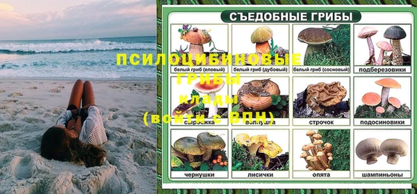 СК Верхний Тагил