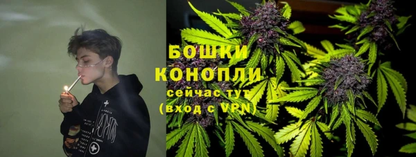 гидропоника Нязепетровск