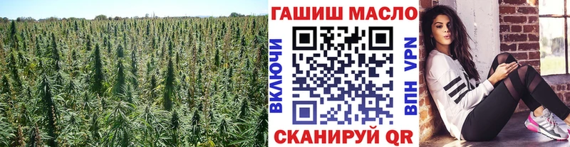 дарнет шоп  omg сайт  ТГК Wax  Мензелинск 