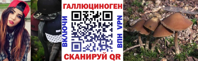 Галлюциногенные грибы Cubensis Мензелинск