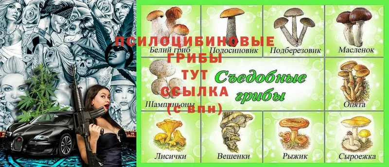 Псилоцибиновые грибы Magic Shrooms  darknet состав  Мензелинск 